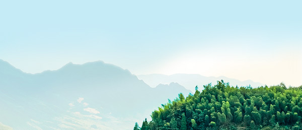 6731������Ϸ(�й���)-�ٷ���վ