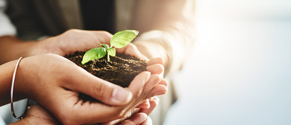 6731������Ϸ(�й���)-�ٷ���վ